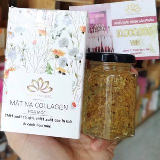 Nạ yến colagen