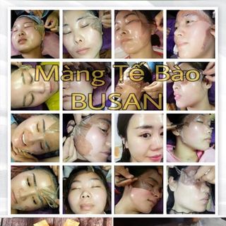 MẶT NẠ MÀNG TẾ BÀO THẢO DƯỢC BUSAN