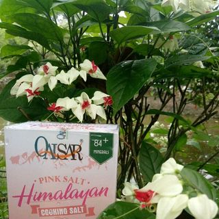 Muối hồng Himalaya Qaisar