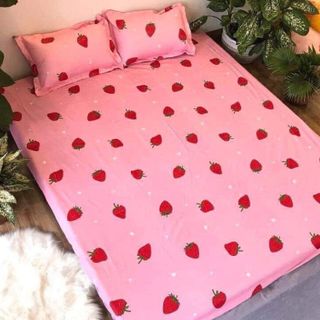 Sét 5 món chăn ra cotton poli