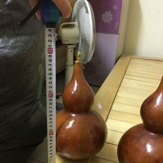 quả bầu hồ lô thật cỡ 30cm nguyên cuống