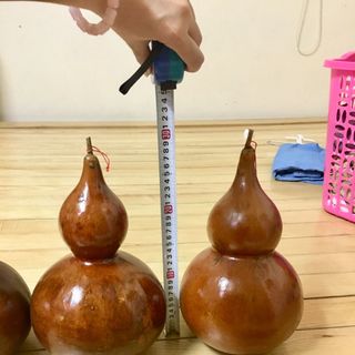 quả bầu hồ lô thật cỡ 30cm nguyên cuống