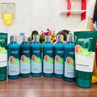 Dầu gội trị rụng tóc và phục hồi tóc