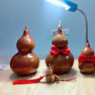 Quả hồ lô phong thuỷ thật cỡ 18cm