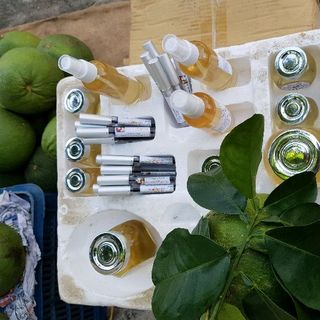 Dầu dừa nguyên chất Bến Tre 100ml/chai
