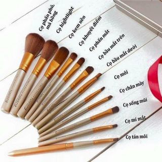 BỘ CỌ TRANG ĐIỂM 12 CÂY SIÊU RẺ