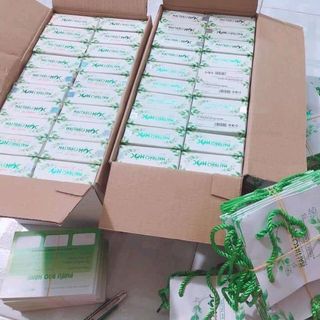 Mai thảo mộc trị mụn giá sỉ