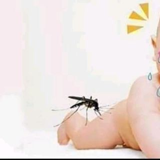 KEM XUA MUỖI TRỊ CÔN TRÙNG ĐỐT