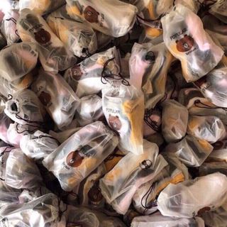 Lô tất gấu quảng châu