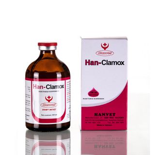 Han-Clamox Đặc trị các nhiễm khuẩn nặng viêm vú viêm tử cung viêm phổi viêm khớp