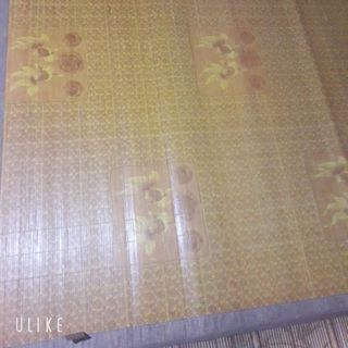 chiếu trúc tăm 15×2m