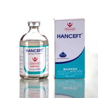 Hanceft Hỗn dịch tiêm Ceftiofur 5 Đặc trị nhiễm khuẩn