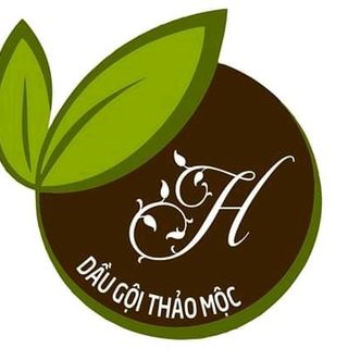 Tinh dầu gội thảo mộc nhà làm