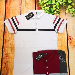 Áo thun cổ trụ cotton 4 chiều