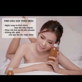 Tinh dầu gội thảo mộc nhà làm