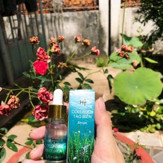 serum tảo biển