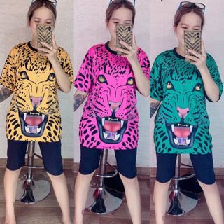 Bộ ngố hình báo