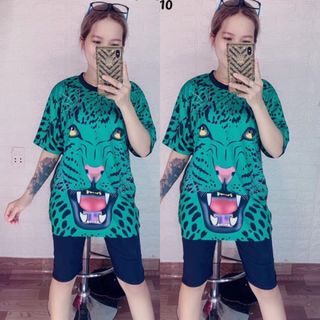 Bộ ngố hình báo