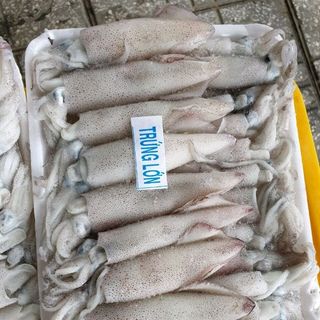 Mưc trưng và cac loại hải sản đong lạnh