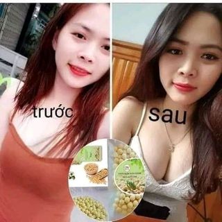 mầm đậu nành dm