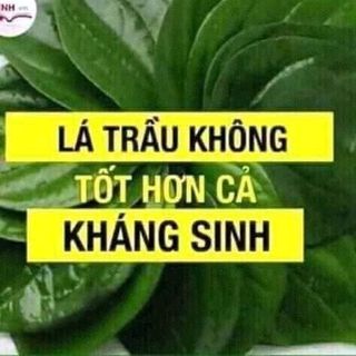 Tinh Dầu Trị Sâu Răng- Hôi Miệng- Viêm họng -Viêm Amidam