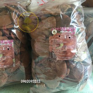 Nấm linh chi nguyên tai - Trại nấm Tiến Farm