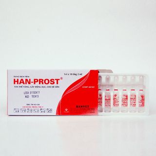 Han-Prost 2ml - Tan thể vàng gây động dục cho đẻ sớm