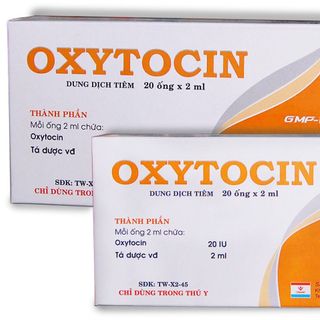 Oxytocin - Chữa liệt dạ con làm co tử cung thúc đẻ