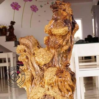 Gỗ nu hương giáng