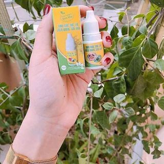 Đặc trị viêm xoang viêm mũi dị ứng Sơn Mai lọ nhỏ 12ml