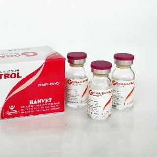 Gona-estrol - Tăng khả năng thụ thai và đẻ nhiều con