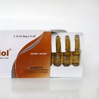 OESTRADIOL Kích thích phát triển buồng trứng dạ con âm đạo của gia  súc cái chậm phát triển