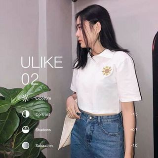 Áo crop cổ bẻ thêu