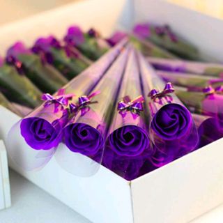 Hoa hồng sáp thơm nguyên cây