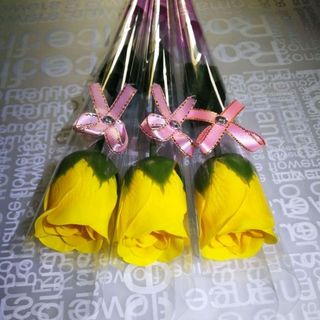 Hoa hồng sáp thơm nguyên cây