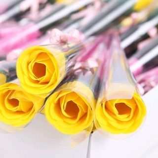 Hoa hồng sáp thơm nguyên cây