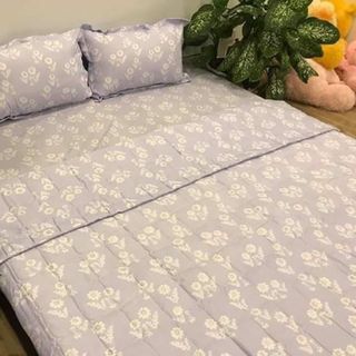 Set 5 món chăn ra cotton poli