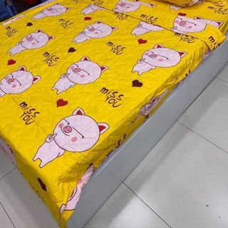 Set 5 món chăn ra cotton poli