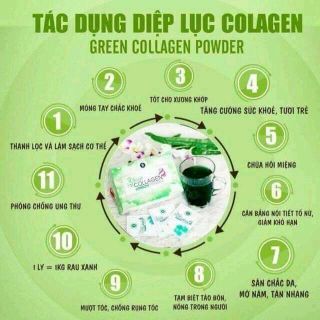 diệp lục collagen