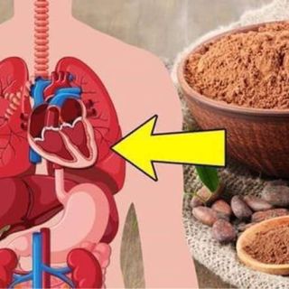 Ca cao 100 từ thiên nhiên