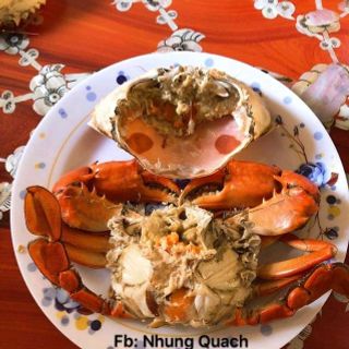 Văn cua Cà Mau