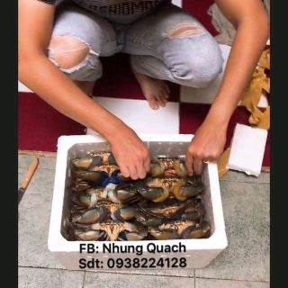 Văn cua Cà Mau
