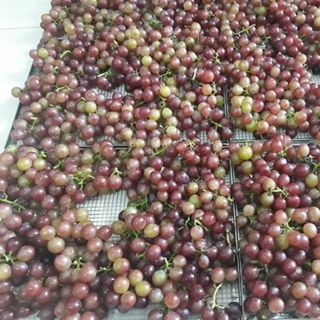 Nho sấy khô
