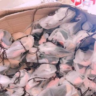 túi 10 đôi tất gấu