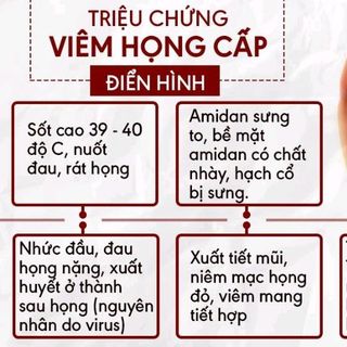 Tinh Dầu đặc trị viêm họng viêm Amidam