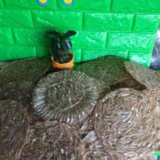 Bánh tráng cá cơm Cà Mau
