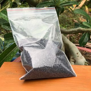 Gói 100gram -hạt thanh long trồng cỏ nền cây may mắn