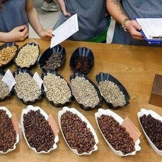 cafe nguyên chất dũng đặng