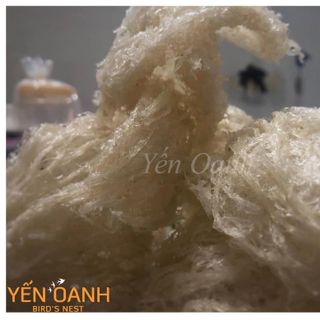 Yến sào Yến Oanh Tinh chế giá sỉ