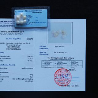 Bộ cốt thất bảo cao cấp - Cốt bát hương cốt tượng chuẩn